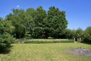 Photo 41- click for photo gallery